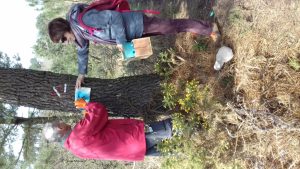 Entretien Balisage Avril 2018