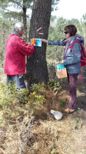 Entretien Balisage Avril 2018